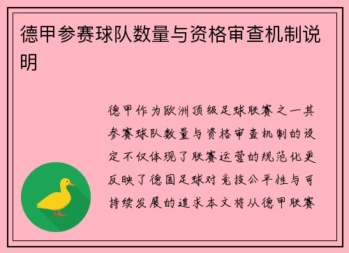 德甲参赛球队数量与资格审查机制说明